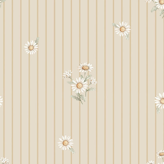 Ταπετσαρία μαργαρίτες σε ρίγα