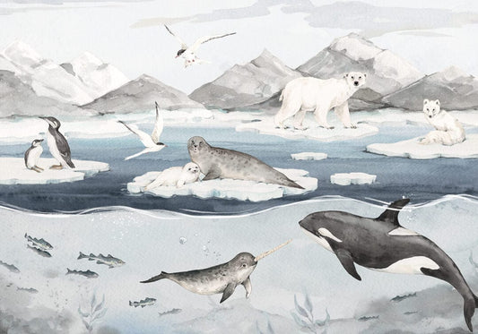 Ταπετσαρία αρκτική